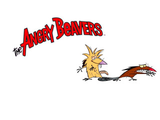 Cartoon character attacking bird angry - angry free wallpaper