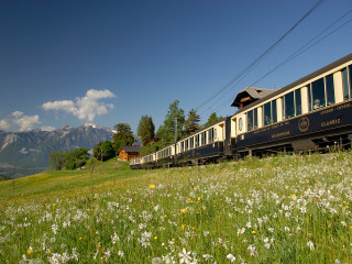 Train traveling lush green countryside - flower and trees free wallpaper