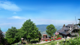 House hill mountains view trees 2 - a view of the mountains free wallpaper