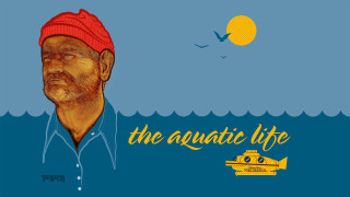 Man red hat yellow submarine - a red hat free wallpaper