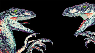 Two dinosaurs mouths open heads - their head free wallpaper