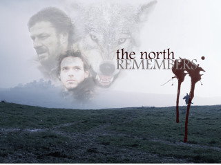 Man wolf field pole wolf - a pole free wallpaper
