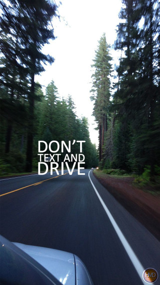 Car driving road forest trees - excessivism free wallpaper
