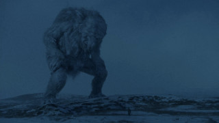 Furry animal snow night moon - the dark night sky free wallpaper