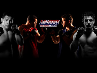 Men boxing gloves group standing - daren bader free wallpaper