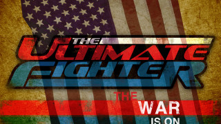 Ultimate fighter american flag grungy - charles martin free wallpaper