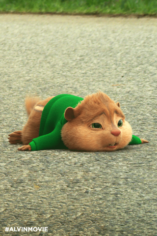 Cat laying green shirt wide - wide free wallpaper