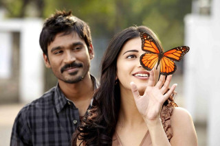 Man woman holding butterfly together - the woman free wallpaper