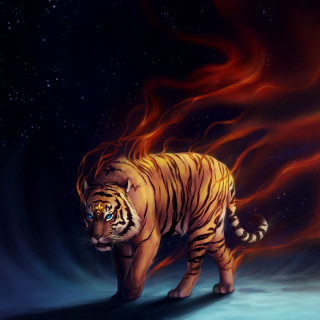 Tiger snow night sky stars - a tiger free wallpaper
