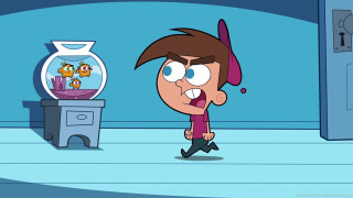 Cartoon character fish bowl walking - a stand free wallpaper