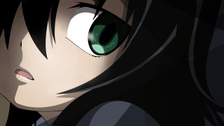 Green eyes black hair vanitas - a green eye free wallpaper