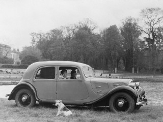 Dog car park pond blackwhite - the back of a car free wallpaper