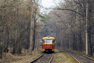 Train forest skyline cable wires - viennese actionism free wallpaper
