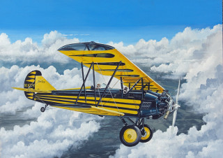 Yellow black biplane flying above - a painting free wallpaper