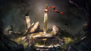 Sword rock forest bird perched - andreas rocha free wallpaper