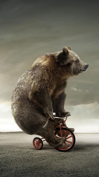 Bear riding tricycle cloudy sky - a cloudy day free wallpaper