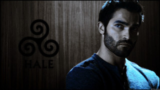 Man beard blue eyes wooden - a wooden wall free wallpaper for desktop