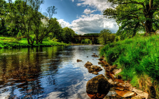 River bridge green grass trees - alexander johnston free wallpaper