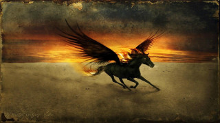 Winged horse running desert sunset - a horse free wallpaper for desktop