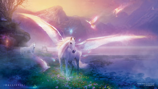 White horse flying water horses - a white horse free wallpaper