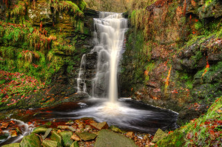 Waterfall forest leaves rocks rock - a waterfall in a forest free wallpaper