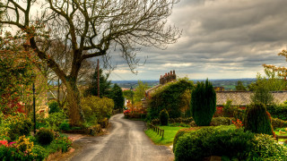 Road tree house cloudy sky 2 - both side free wallpaper