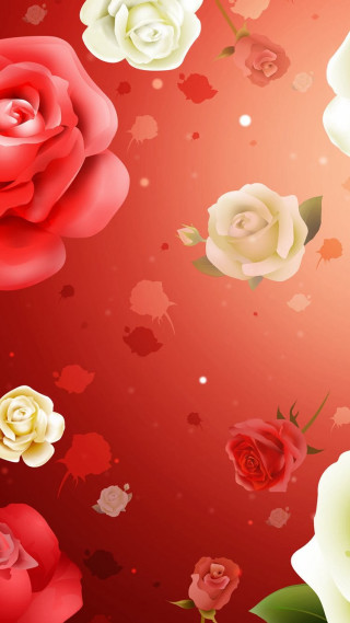 Red rose bouquet bridal veil - romanticism free wallpaper
