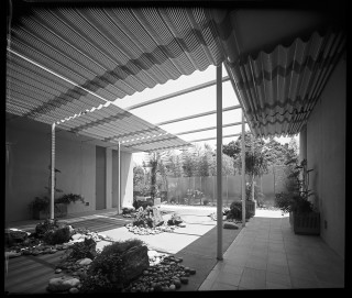 Black white patio pergola plants - a few plant free wallpaper