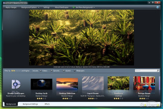 Video player blurry background plants - a screen free wallpaper
