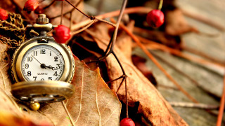 Pocket watch leaf berries ground 2 - top of a leaf free wallpaper