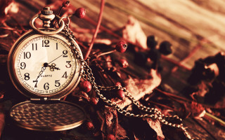 Pocket watch chain wood berries - the clock free wallpaper