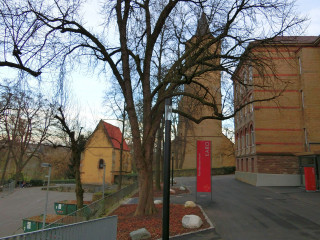 Street sign tree buildings background - a pole in front free wallpaper