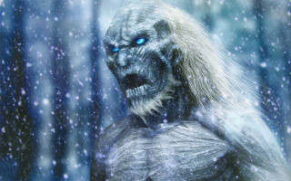 White wolf blue eyes snow 2 - ice free wallpaper