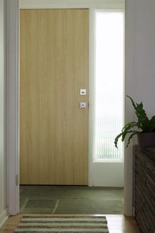 Door plant window room rug - a plant free wallpaper