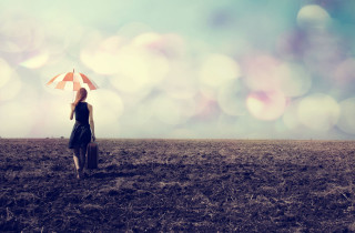 Woman umbrella field sky blurry - an umbrella over her head free wallpaper