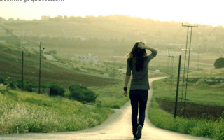 Woman skateboard dog road sunset - a skateboard free wallpaper