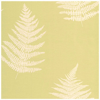 Green white wallpaper fern leaf - a white border free wallpaper