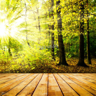 Wooden floor sunlight trees background - free forest wallpaper