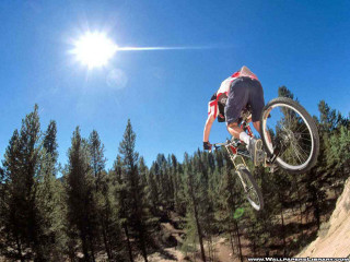 Man flying bike dirt road - a forest of trees free wallpaper