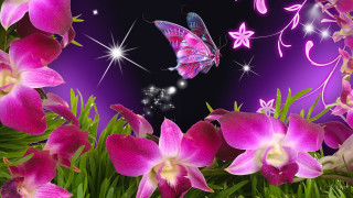 Butterfly flowers purple background stars - star free wallpaper for desktop