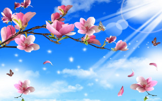 Pink flowers butterflies sky clouds - chang daichien free wallpaper