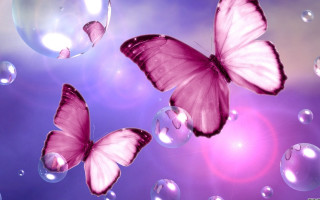 Butterflies bubbles flying purple background - a purple background free wallpaper