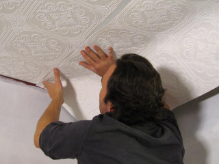 Man painting ceiling white roller - earnst haeckel free wallpaper