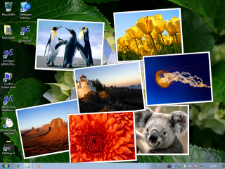 Animals plants window screenshot Windows7 - a bunch of pictures free wallpaper