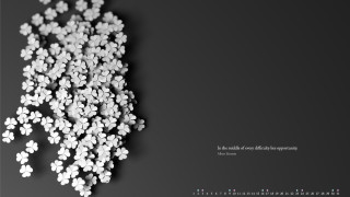 White flowers black background floral 2 - white flower free wallpaper