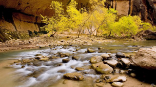 River canyon rocks trees yellow - a canyon free wallpaper