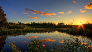 Lake sunset trees clouds autumn - a sunset in the background and trees free wallpaper