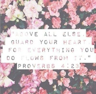 Flowers bible verse pink sakura - character free wallpaper