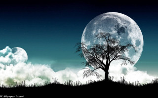 Full moon tree sky clouds - full moon free wallpaper