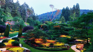 Garden flowers trees path hill - flower and trees free wallpaper